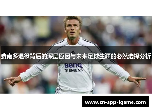 费南多退役背后的深层原因与未来足球生涯的必然选择分析 费南多退役背后的深层原因与未来足球生涯的必然选择分析