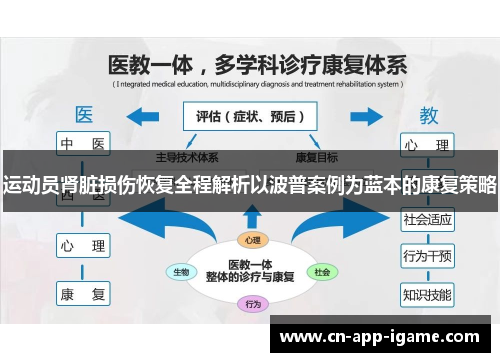 运动员肾脏损伤恢复全程解析以波普案例为蓝本的康复策略
