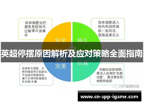 英超停摆原因解析及应对策略全面指南 英超停摆原因解析及应对策略全面指南