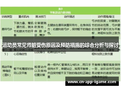 运动员常见肾脏受伤原因及预防措施的综合分析与探讨