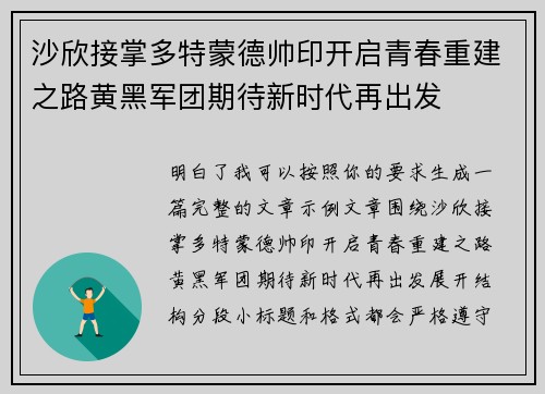沙欣接掌多特蒙德帅印开启青春重建之路黄黑军团期待新时代再出发